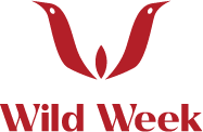 Wild Week